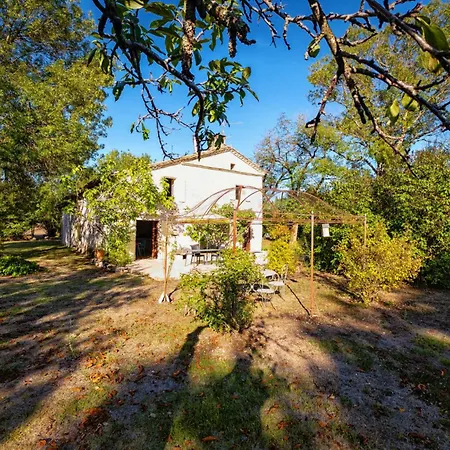 La Maison Des Chenes - Piscine Et Grand Terrain Arbore Dans Ambiance Bucolique. Semesterbostad Cahuzac-sur-Vère