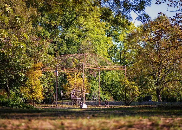 Prázdninový dům La Maison Des Chenes - Piscine Et Grand Terrain Arbore Dans Ambiance Bucolique. *