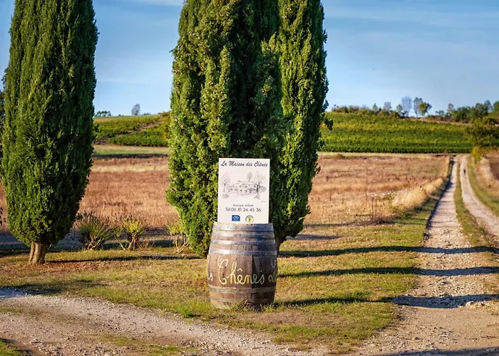 Prázdninový dům La Maison Des Chenes - Piscine Et Grand Terrain Arbore Dans Ambiance Bucolique.