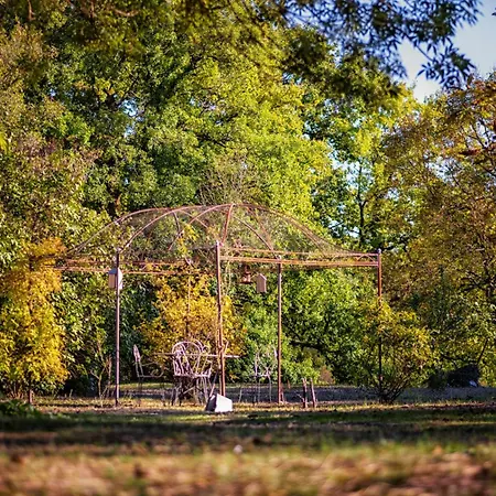 Prázdninový dům La Maison Des Chenes - Piscine Et Grand Terrain Arbore Dans Ambiance Bucolique. *