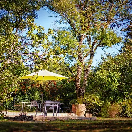 Prázdninový dům La Maison Des Chenes - Piscine Et Grand Terrain Arbore Dans Ambiance Bucolique. *