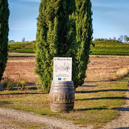 Prázdninový dům La Maison Des Chenes - Piscine Et Grand Terrain Arbore Dans Ambiance Bucolique.