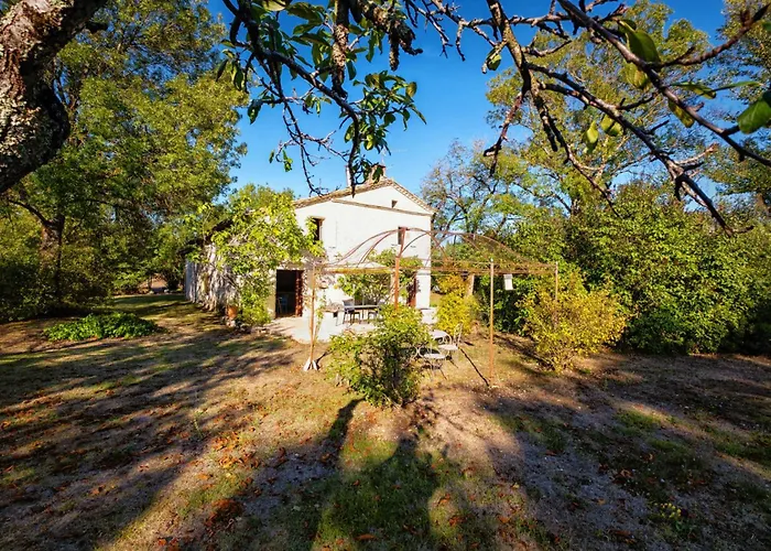 La Maison Des Chenes - Piscine Et Grand Terrain Arbore Dans Ambiance Bucolique. Σπίτι διακοπών Cahuzac-sur-Vère